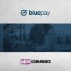 bluepay payment gateway