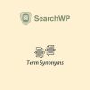 SearchWP Term Synonyms