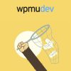 wpmu dev mailchimp integration