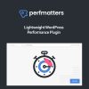 Perfmatters Wordpress Plugin