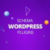 Wp Schema Pro Plugin