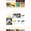 Camping.mauthemewp.com scaled.jpg