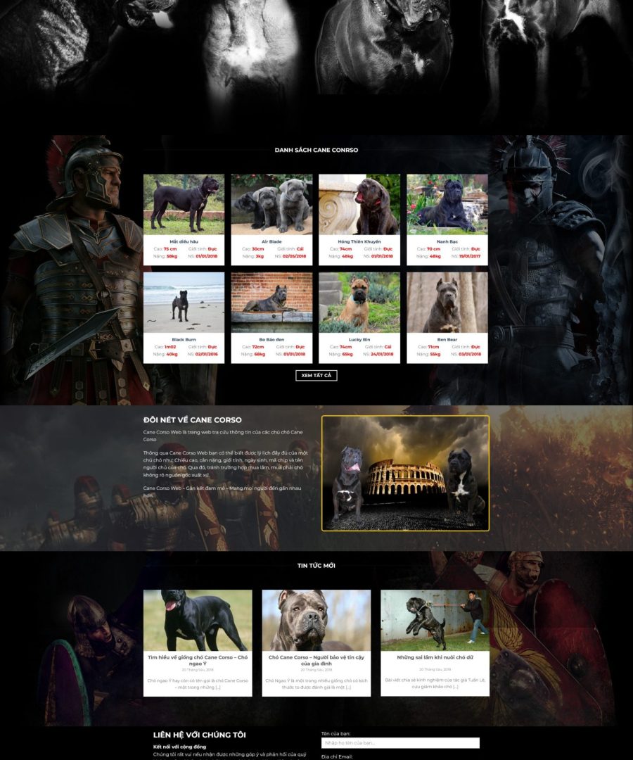 Chosan.mauthemewp.com scaled.jpg