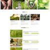 Eco.mauthemewp.com 1 e1682521017684 scaled.jpg