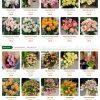 Hoatuoi.mauthemewp.com scaled.jpg