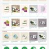 Inan6.mauthemewp.com scaled.jpg