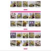 Shophoa2.mauthemewp.com scaled.jpg