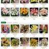 Shophoa5.mauthemewp.com scaled.jpg
