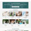 Stock.mauthemewp.com scaled.jpg