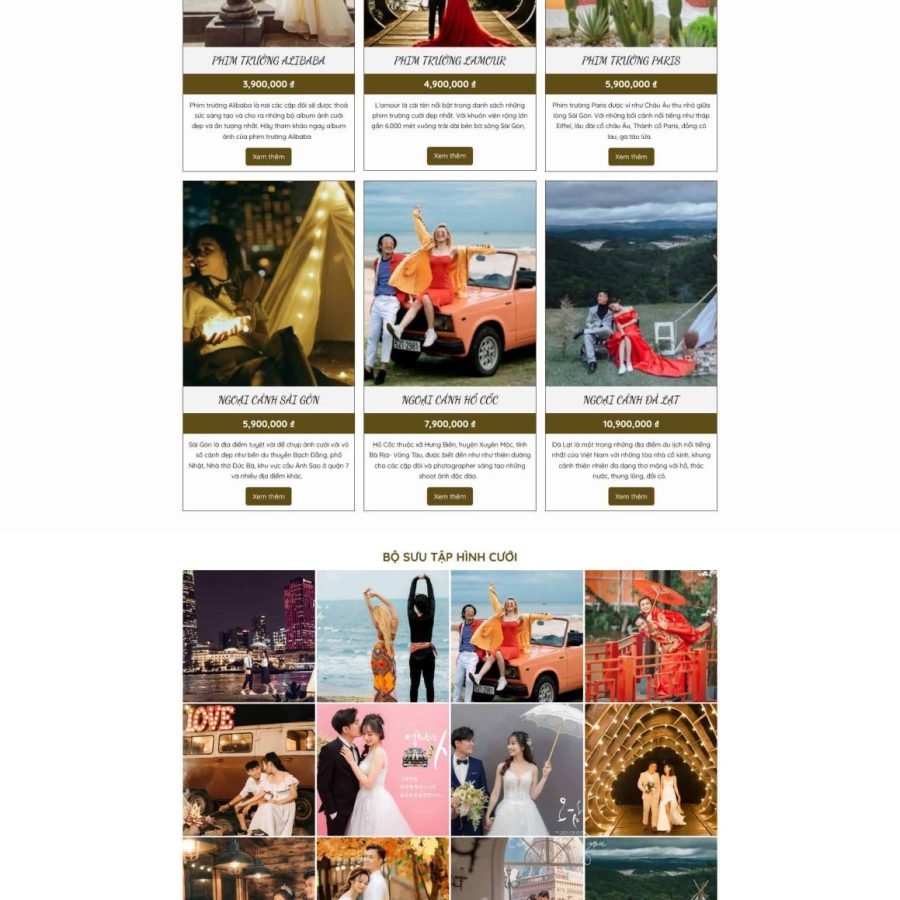 Studio4.mauthemewp.com scaled.jpg