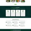Tamthatbac.mauthemewp.com scaled.jpg