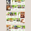 Thucpham10.mauthemewp.com scaled.jpg