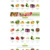Thucpham27.mauthemewp.com scaled.jpg