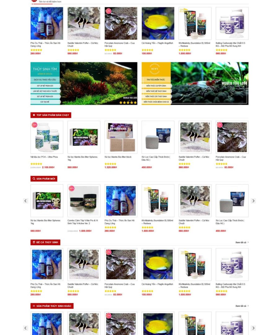Thuysinh.mauthemewp.com e1682658082527 scaled.jpg