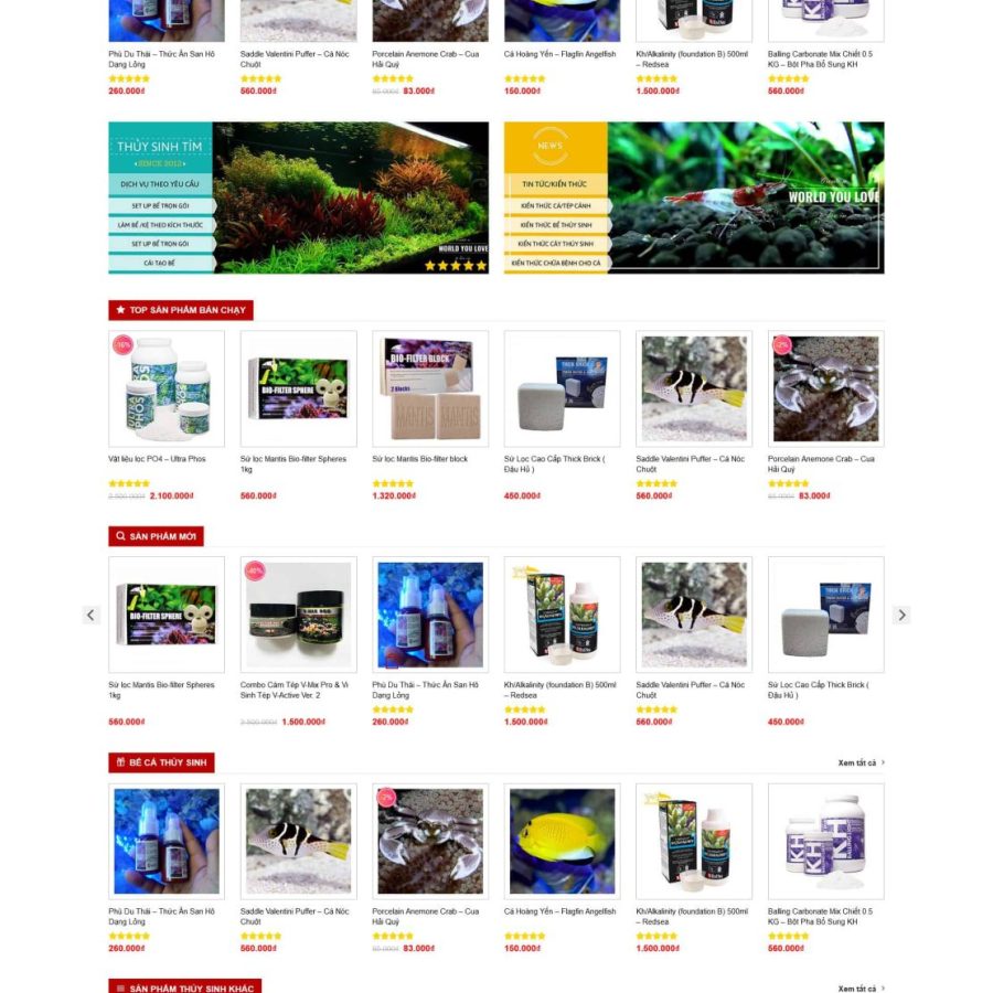 Thuysinh.mauthemewp.com e1682658082527 scaled.jpg