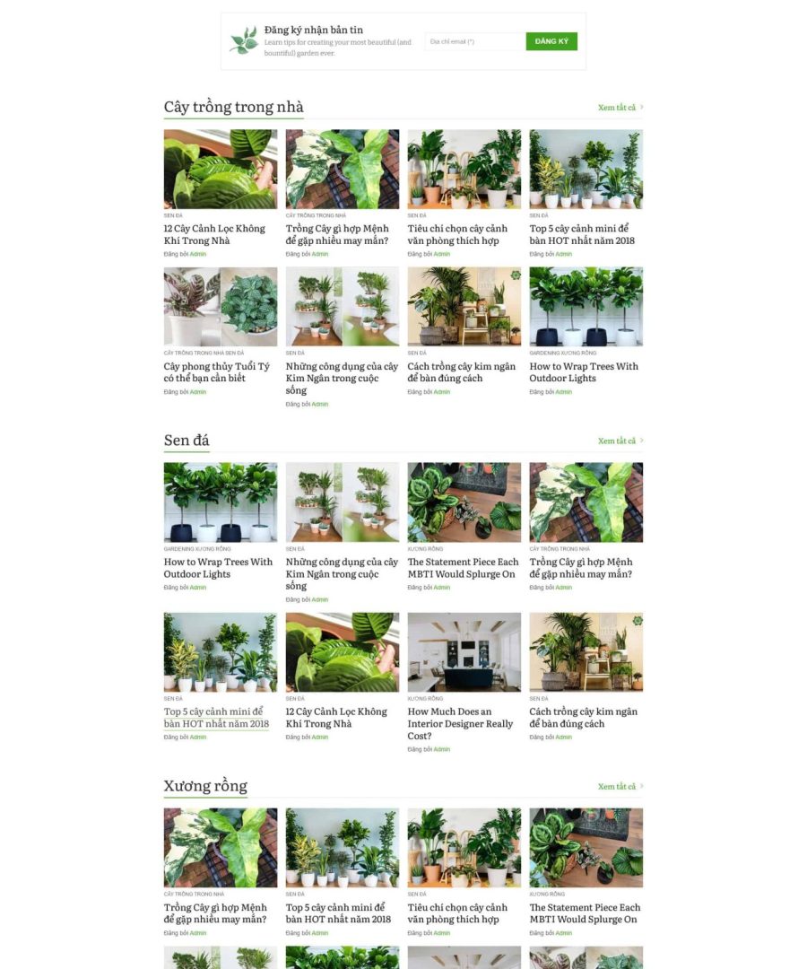Tintuc12.mauthemewp.com scaled.jpg