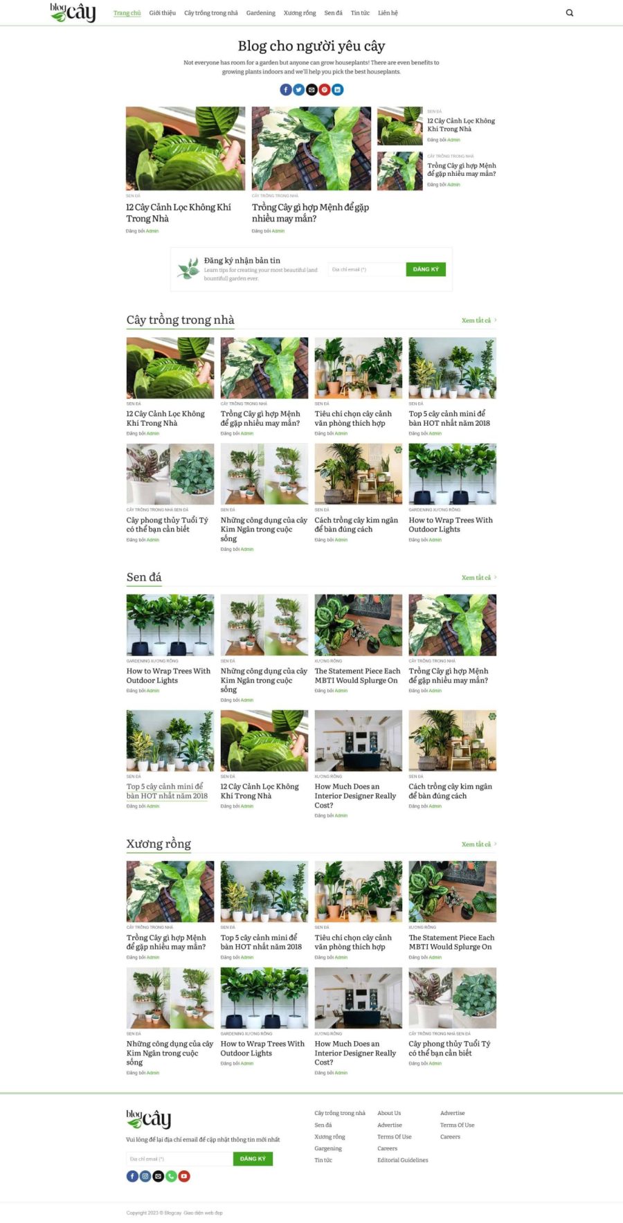 Tintuc12.mauthemewp.com scaled.jpg