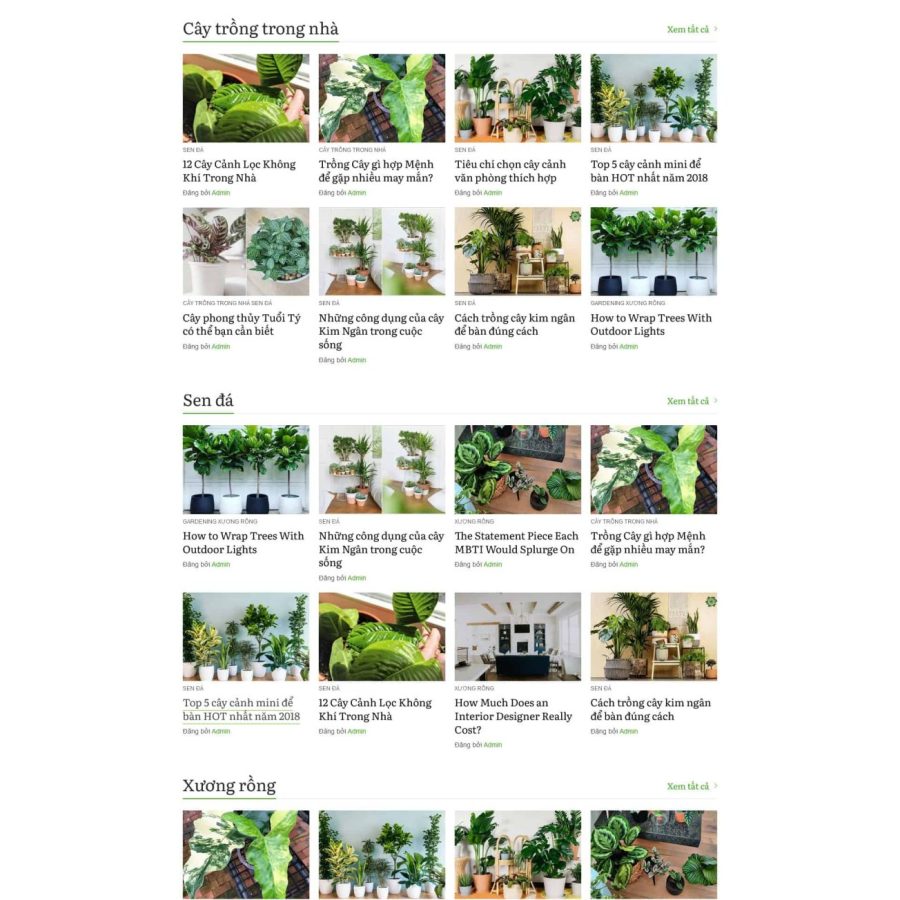 Tintuc12.mauthemewp.com scaled.jpg