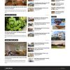 Tintuc4.mauthemewp.com scaled.jpg