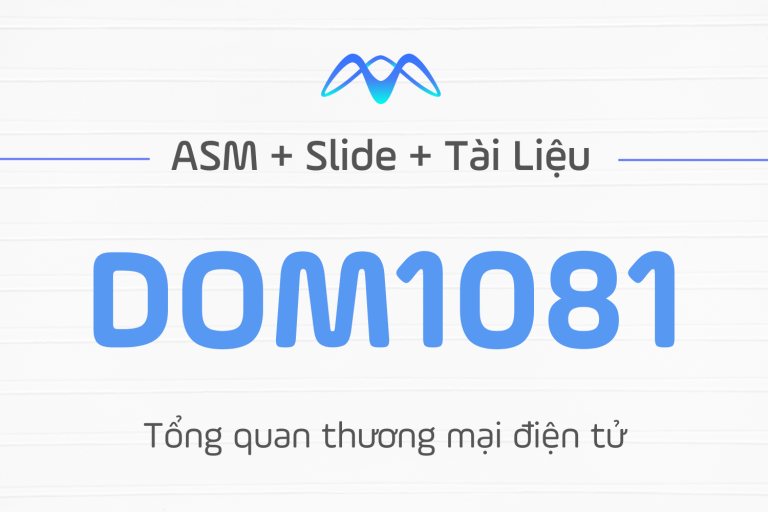 Tổng quan thương mại điện tử – DOM1081